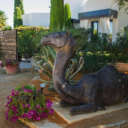 La Villa Majorelle بيرتويس المظهر الخارجي الصورة