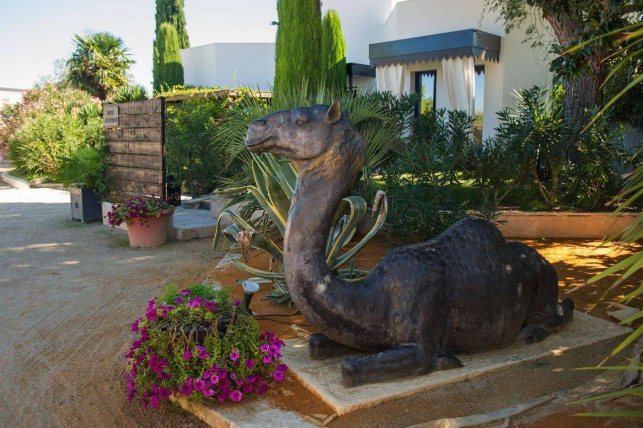 La Villa Majorelle بيرتويس المظهر الخارجي الصورة