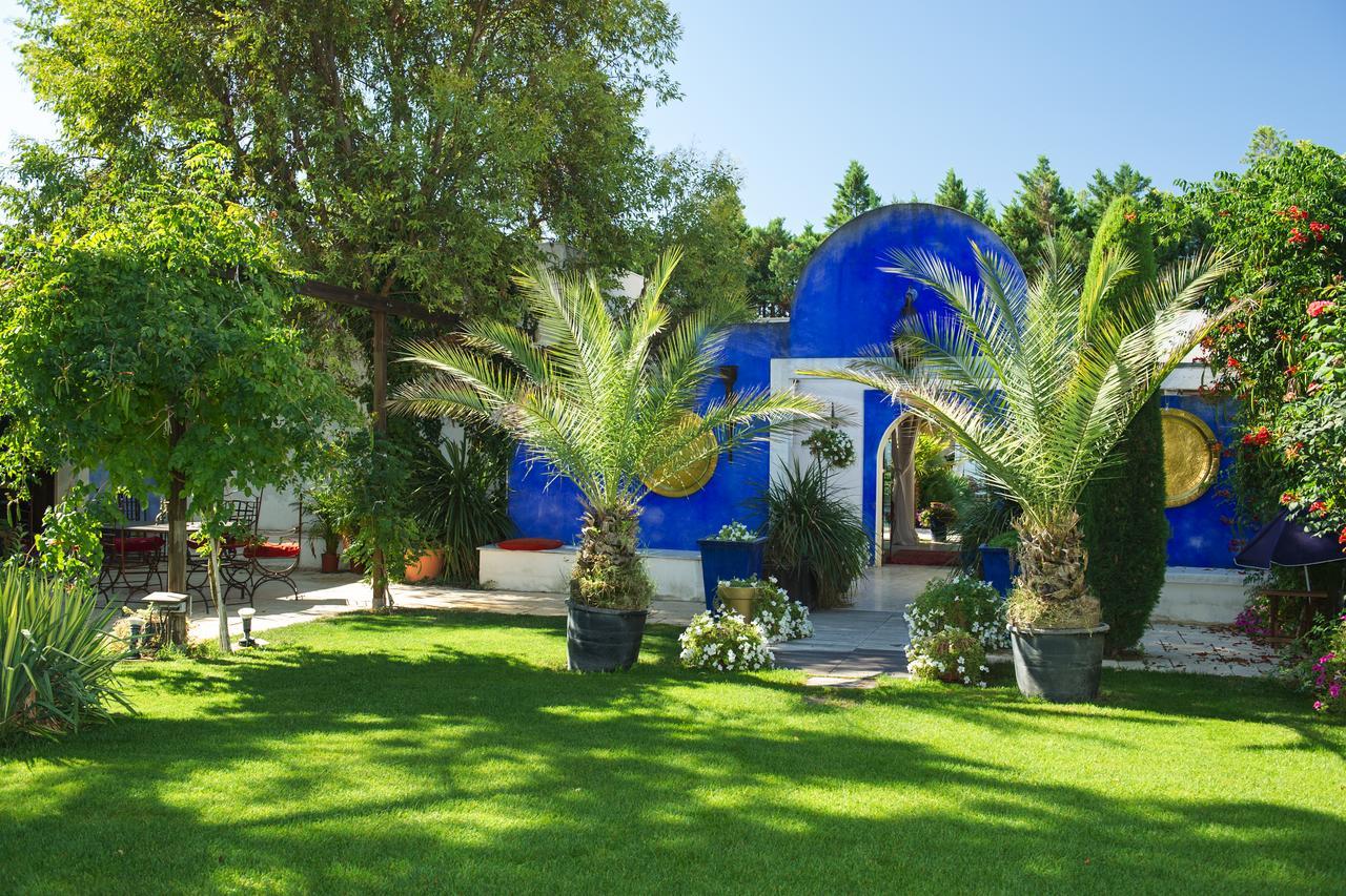La Villa Majorelle بيرتويس المظهر الخارجي الصورة