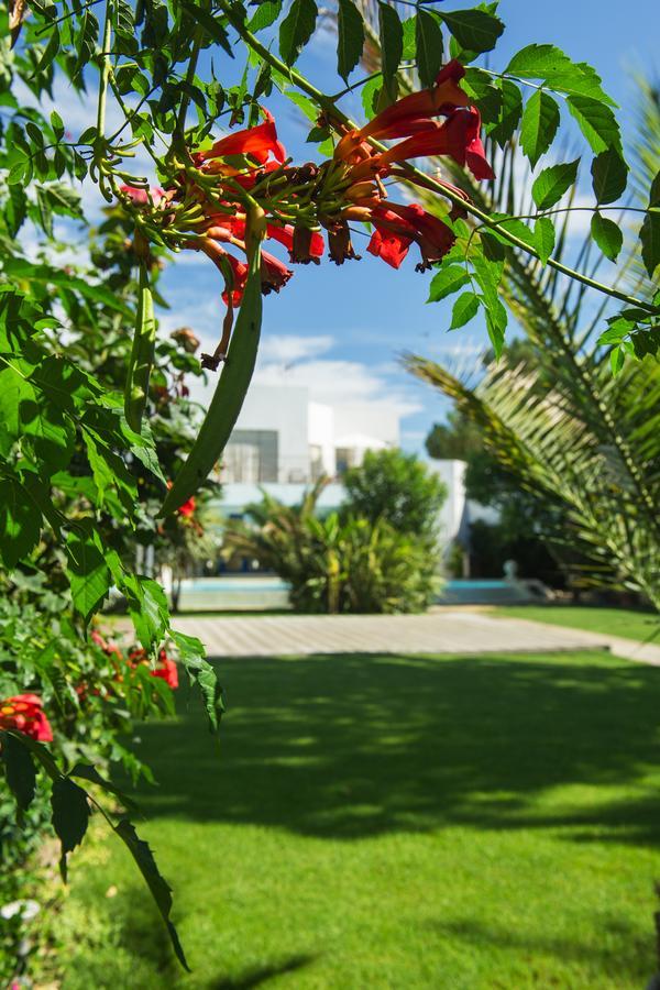 La Villa Majorelle بيرتويس المظهر الخارجي الصورة