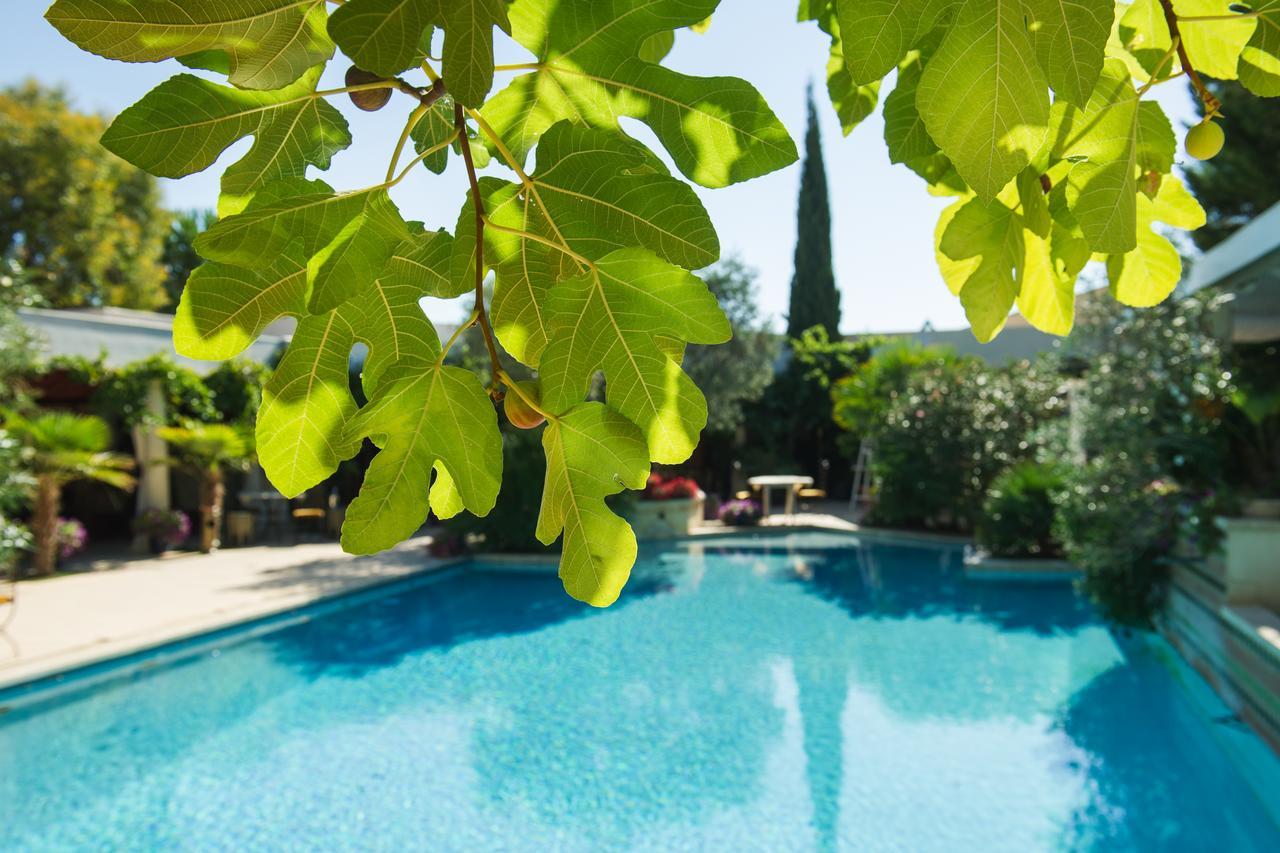 La Villa Majorelle بيرتويس المظهر الخارجي الصورة