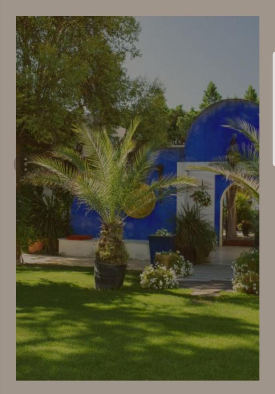 La Villa Majorelle بيرتويس المظهر الخارجي الصورة